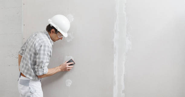 Best Drywall Removal and Disposal  in USA